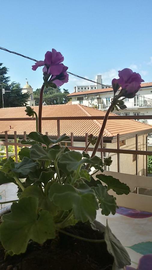 Casa Vacanza Xenia Аджерола Екстер'єр фото